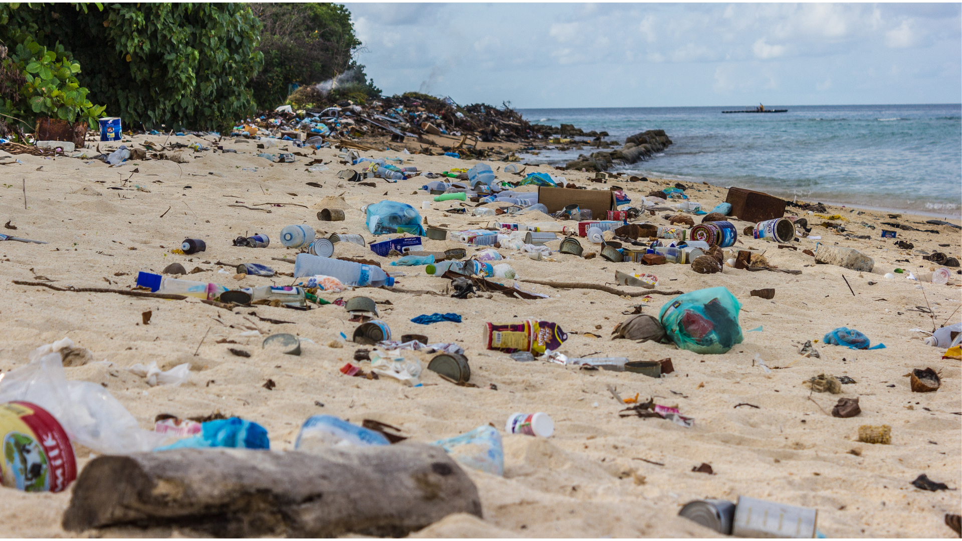 Você está visualizando atualmente ALERTA: Nenhuma praia do Brasil é limpa!