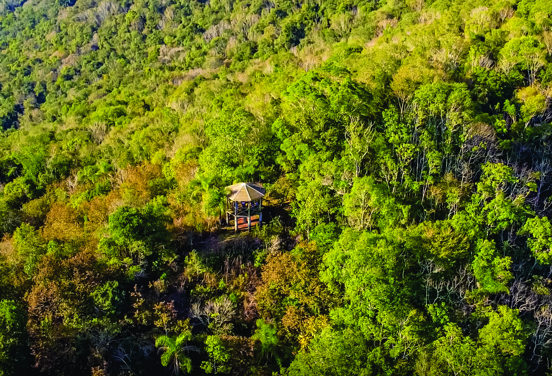 Leia mais sobre o artigo Terra de Gigantes – Um dia no Parque Estadual de Concórdia