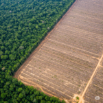 Licenciamento ambiental não pode ser tratado como burocracia. É defesa da vida!