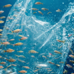 VPR: O “plástico vivo” que pode revolucionar a economia circular em 2026